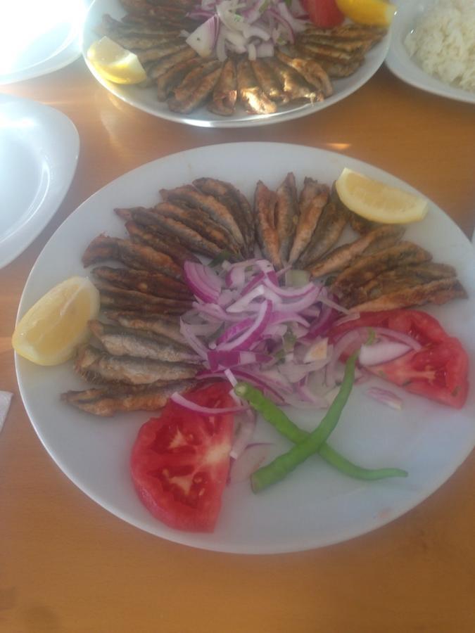 Omer Deniz Motel Türkeli 外观 照片